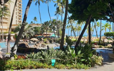 Unveiling the Ultimate Family Getaway: Your Guide to D-Resort