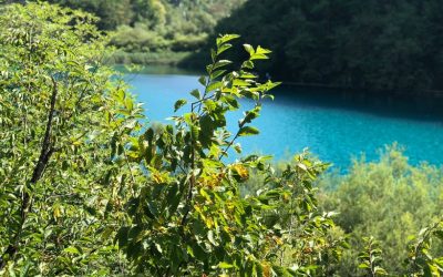 Discovering Oludeniz: Turkey’s Turquoise Paradise